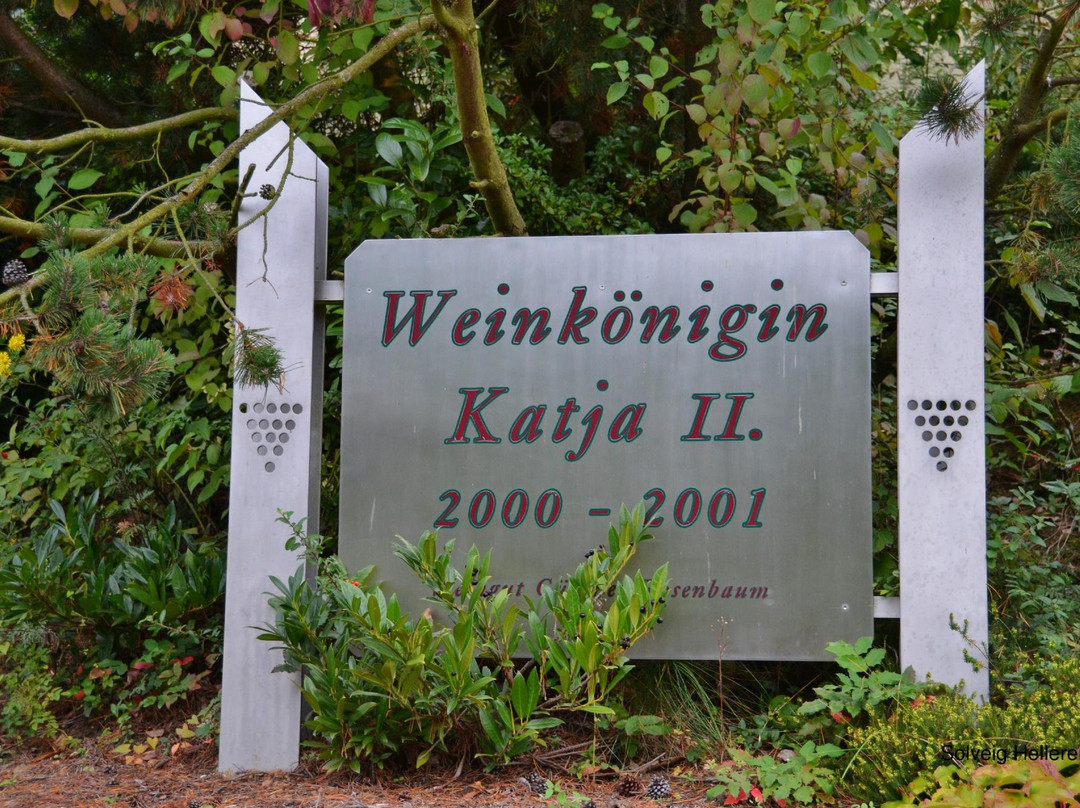 Weingut Rosenbaum主图