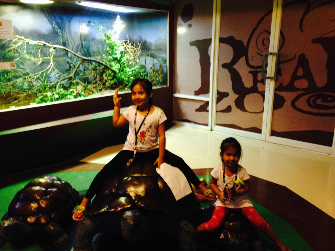 Real Zoo Thailand-乌太必去景点