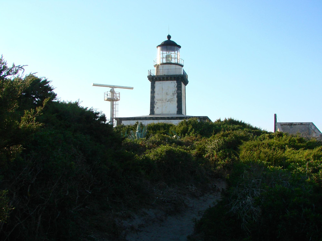 Phare de Pertusato景点图片