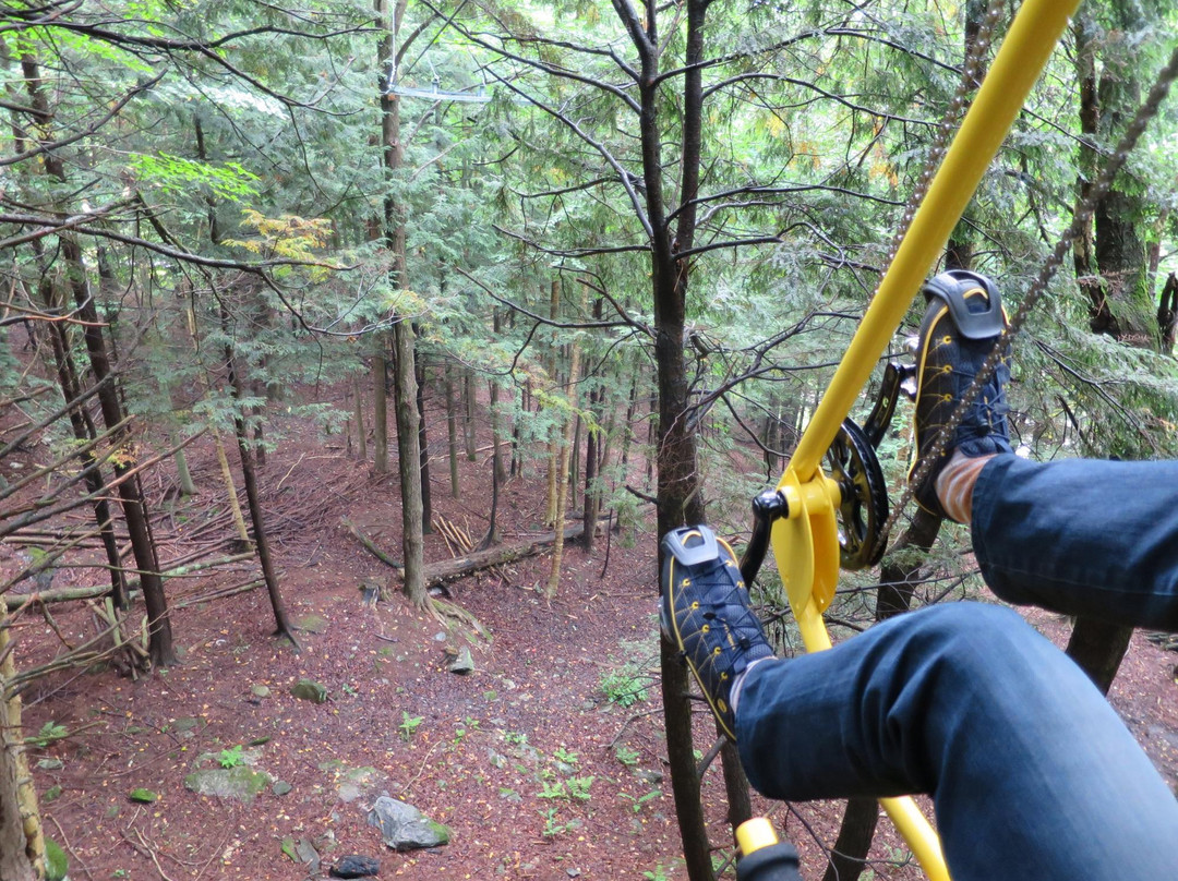 VeloVolant-Sutton必去景点