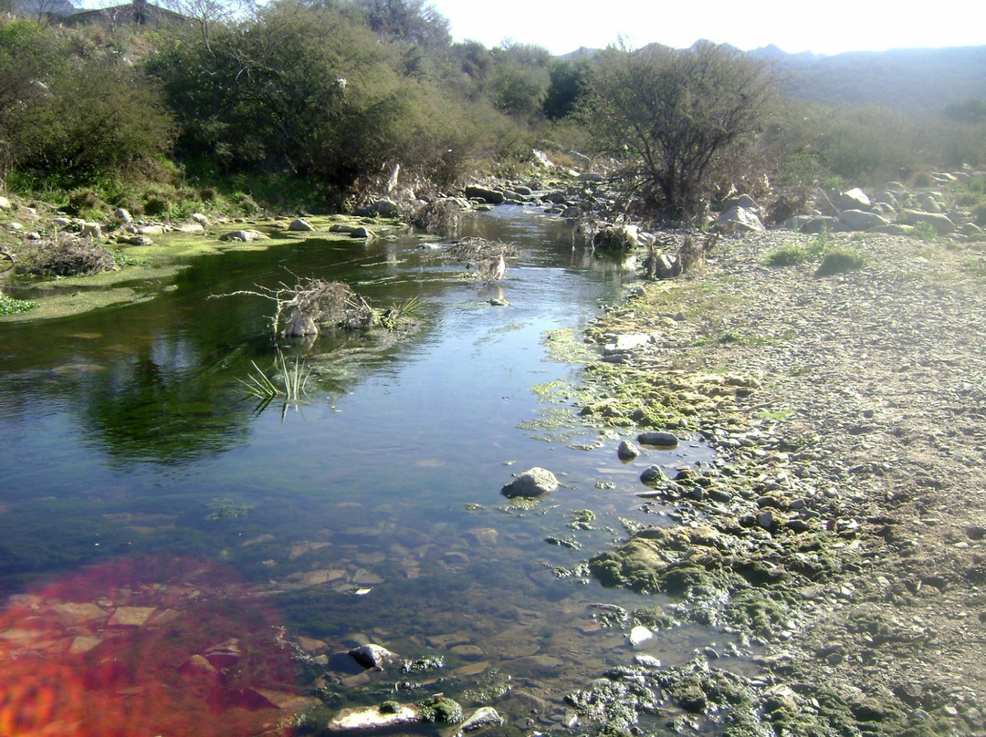 库约旅游攻略图片