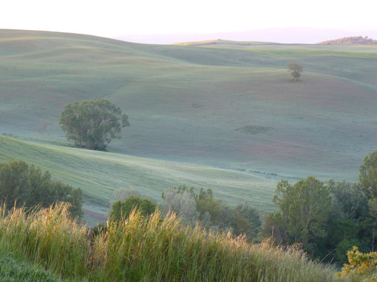 Agriturismo Poderino主图