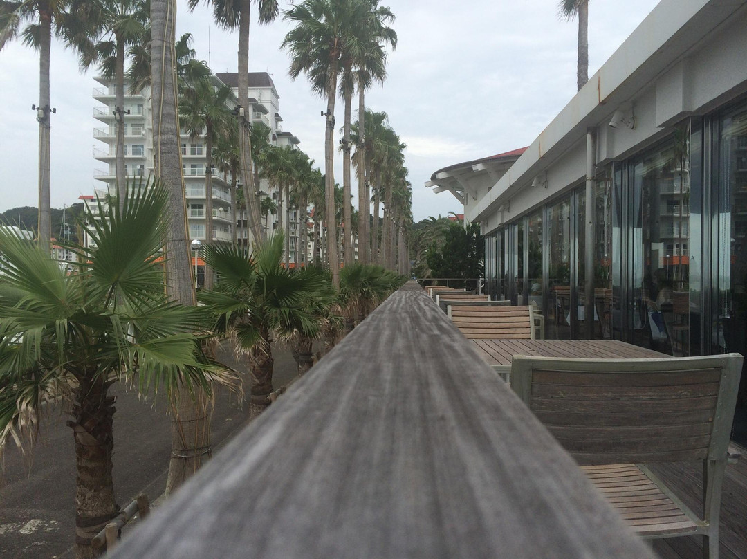 Riviera Zushi Marina景点图片