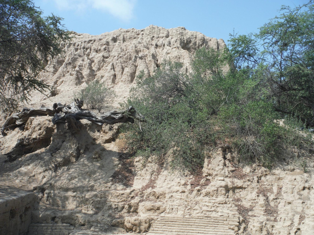 Santuario Histórico Bosque de Pómac-Ferrenafe必去景点
