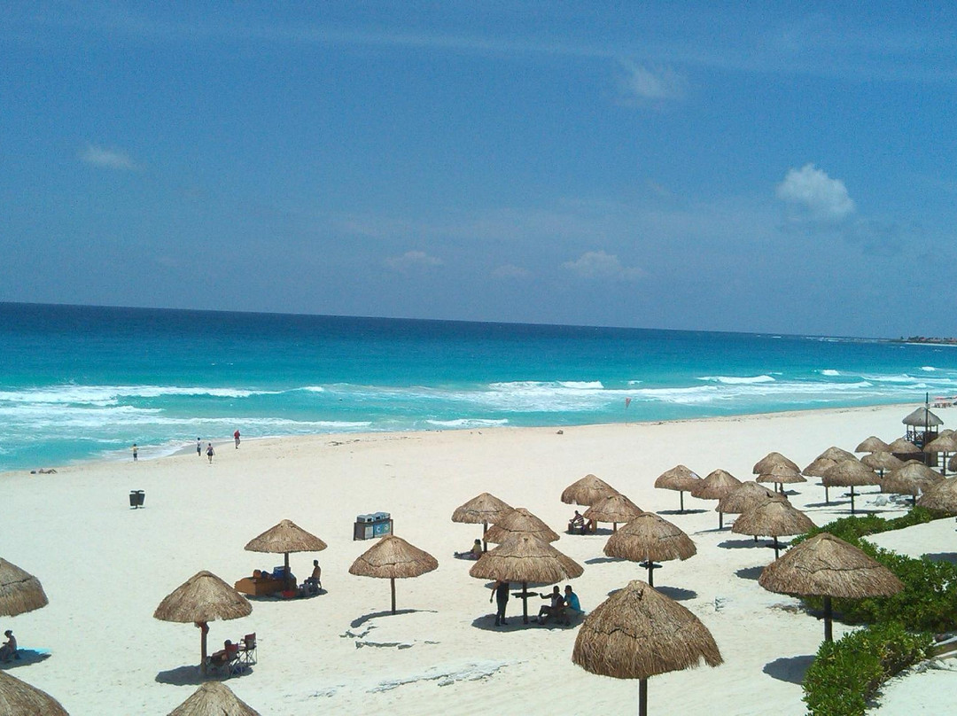 Cancunsurfing Academia Mexicana de Surf-坎昆必去景点