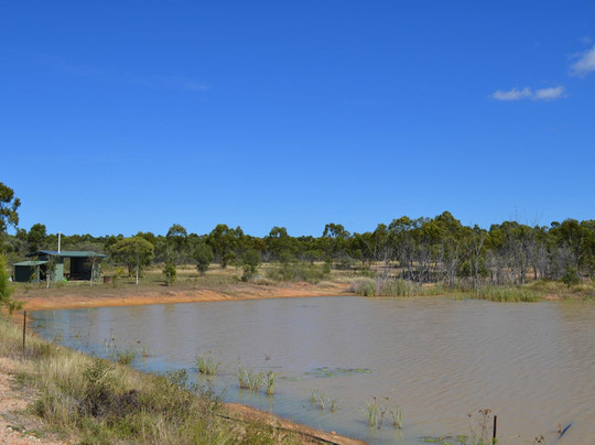 Holistic Health Retreat主图