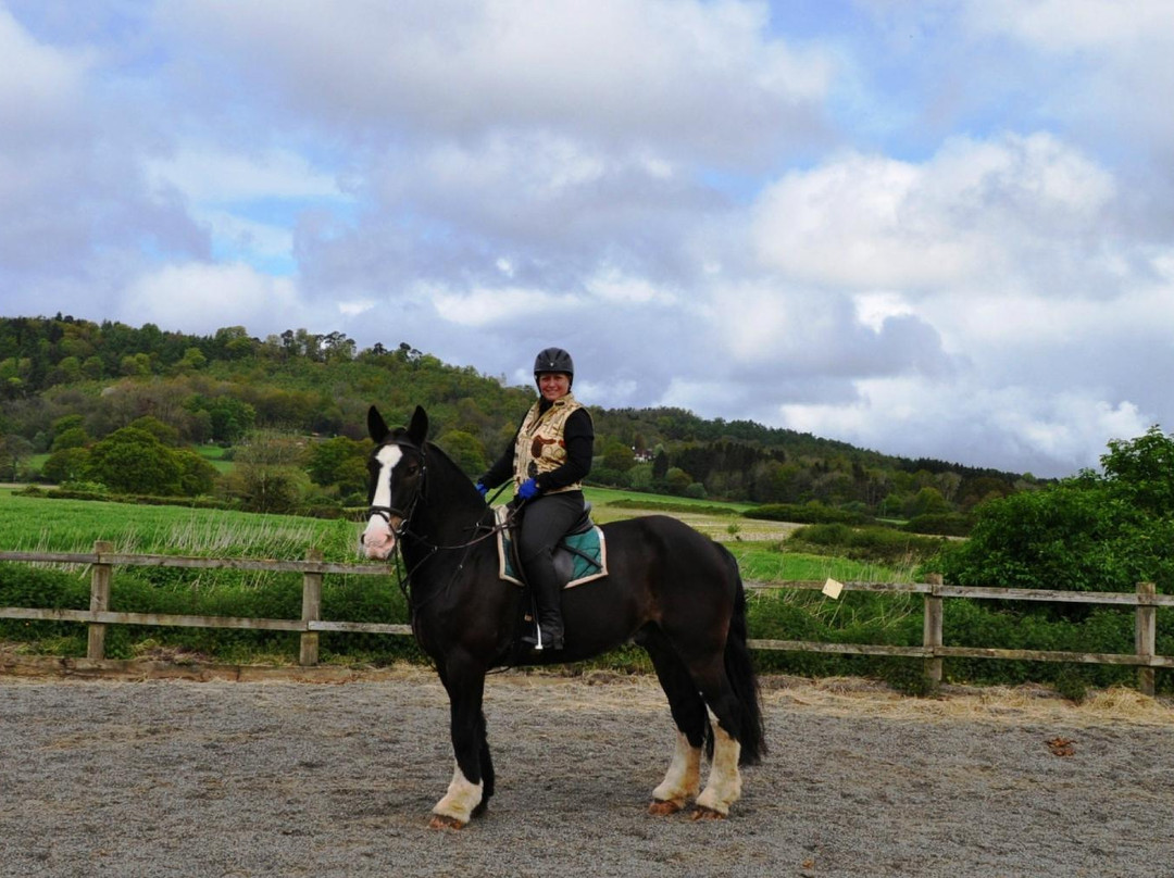Horse Riding Surrey景点图片