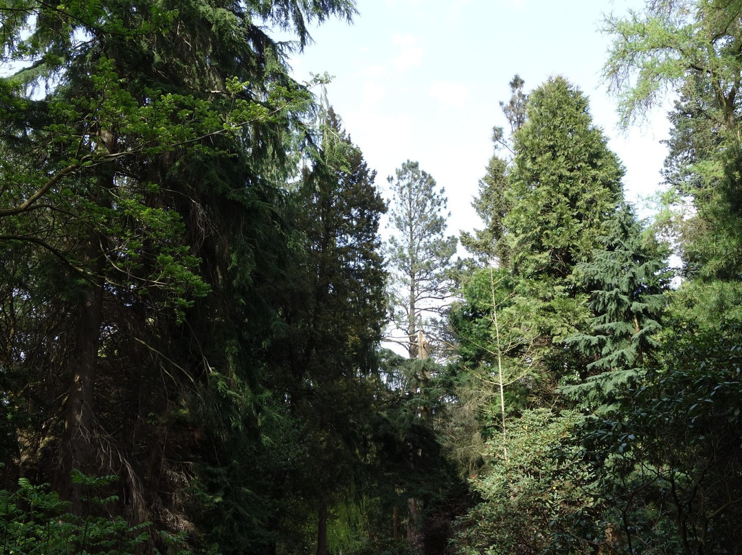 Forstbotanisk Have景点图片