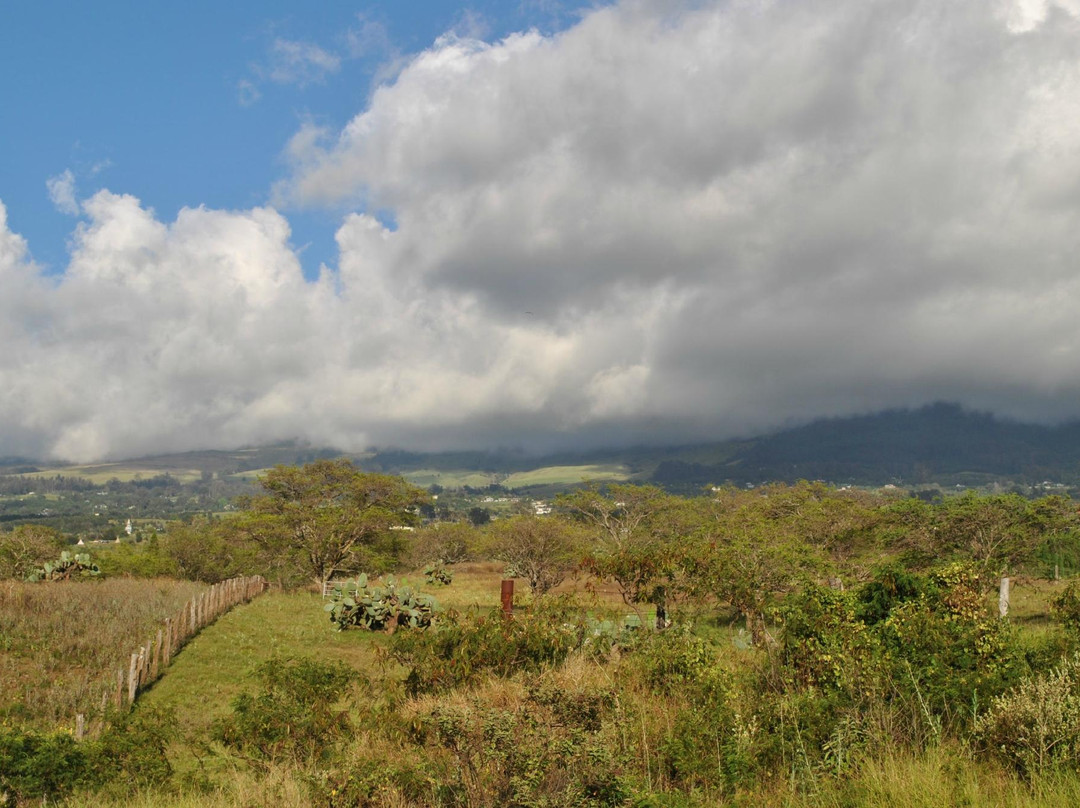 Kupa'a Farms-库拉必去景点