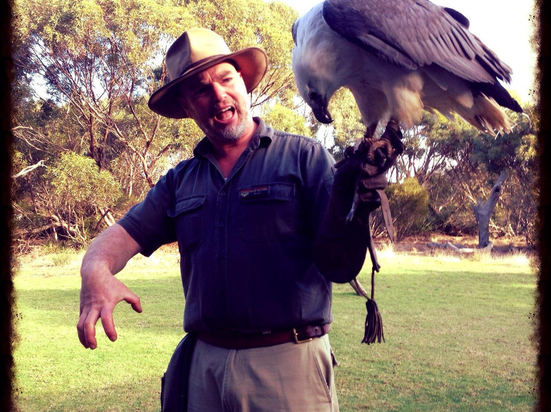 Raptor Domain-Seal Bay必去景点