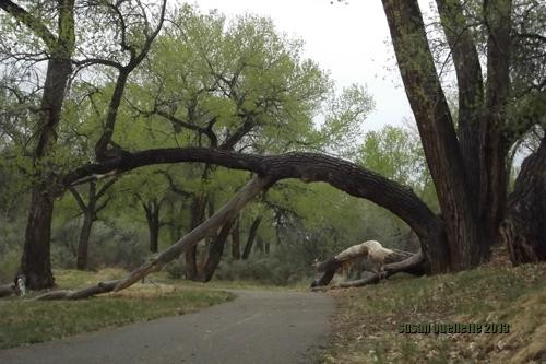 James M. Robb - Colorado River State Park-大章克申必去景点