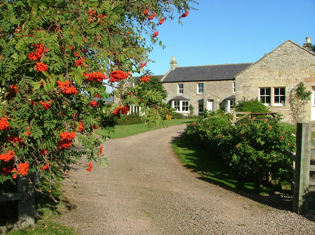 Thropton酒店住宿-Westfield House Farm Bed and Breakfast