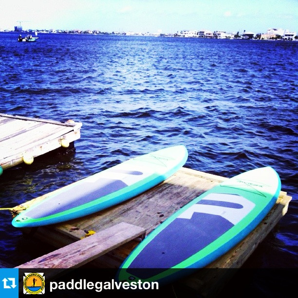 Galveston Paddleboard Center-盖维斯顿必去景点