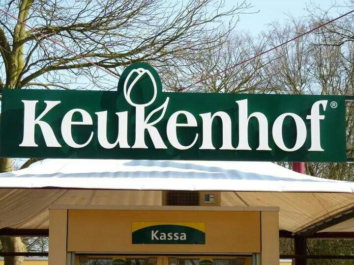Keukenhof Sideways景点图片