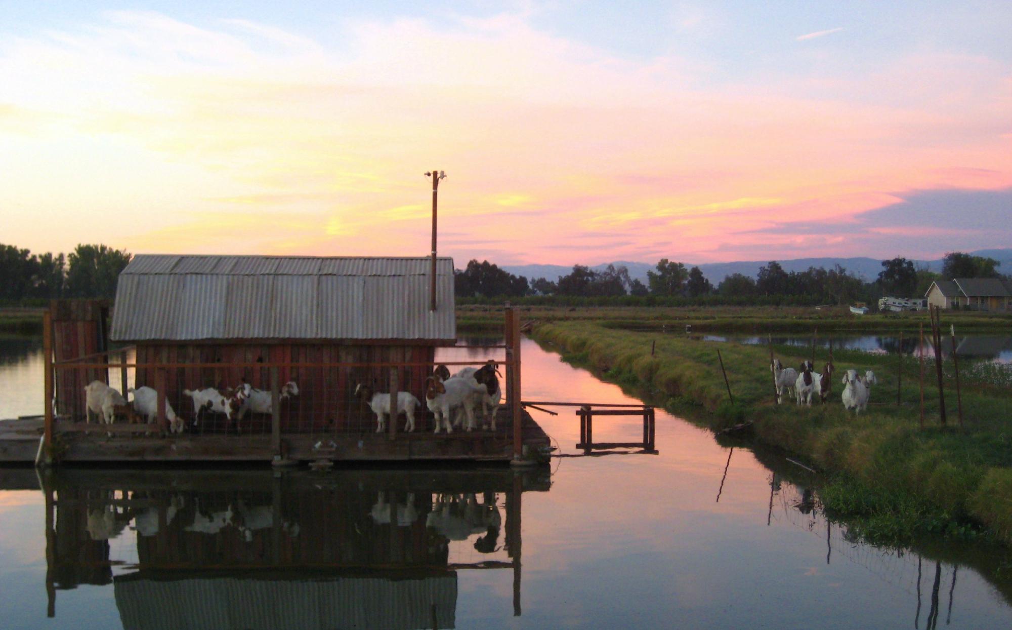 Little House on the Fish Farm at J and J Aquafarms-官方