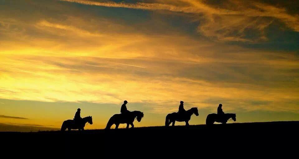 Derbyshire Pony Trekking-Mansfield必去景点