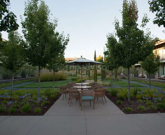 门洛帕克瑰丽酒店