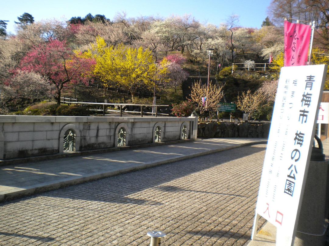 Ome City Ume Park-青梅市必去景点