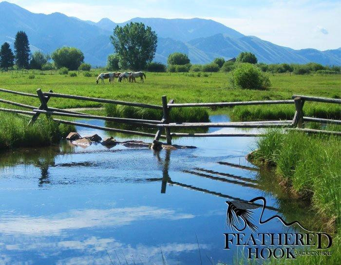 Feathered Hook-Afton必去景点