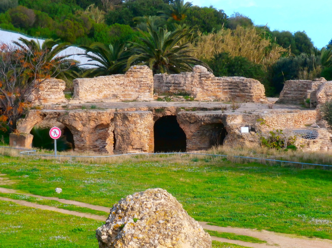 古罗马浴场-迦太基必去景点
