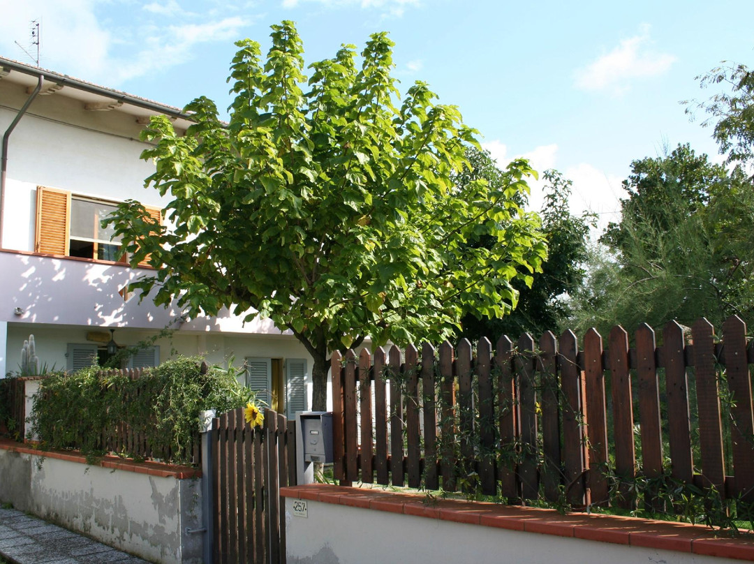 Lamporecchio酒店住宿-Bed and Breakfast Il Girasole