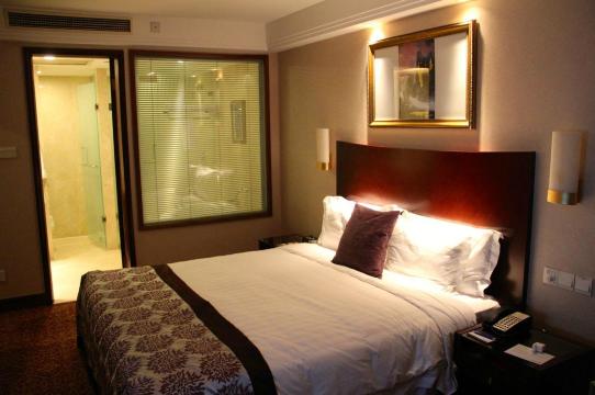 上海新世界丽笙大酒店-客卧