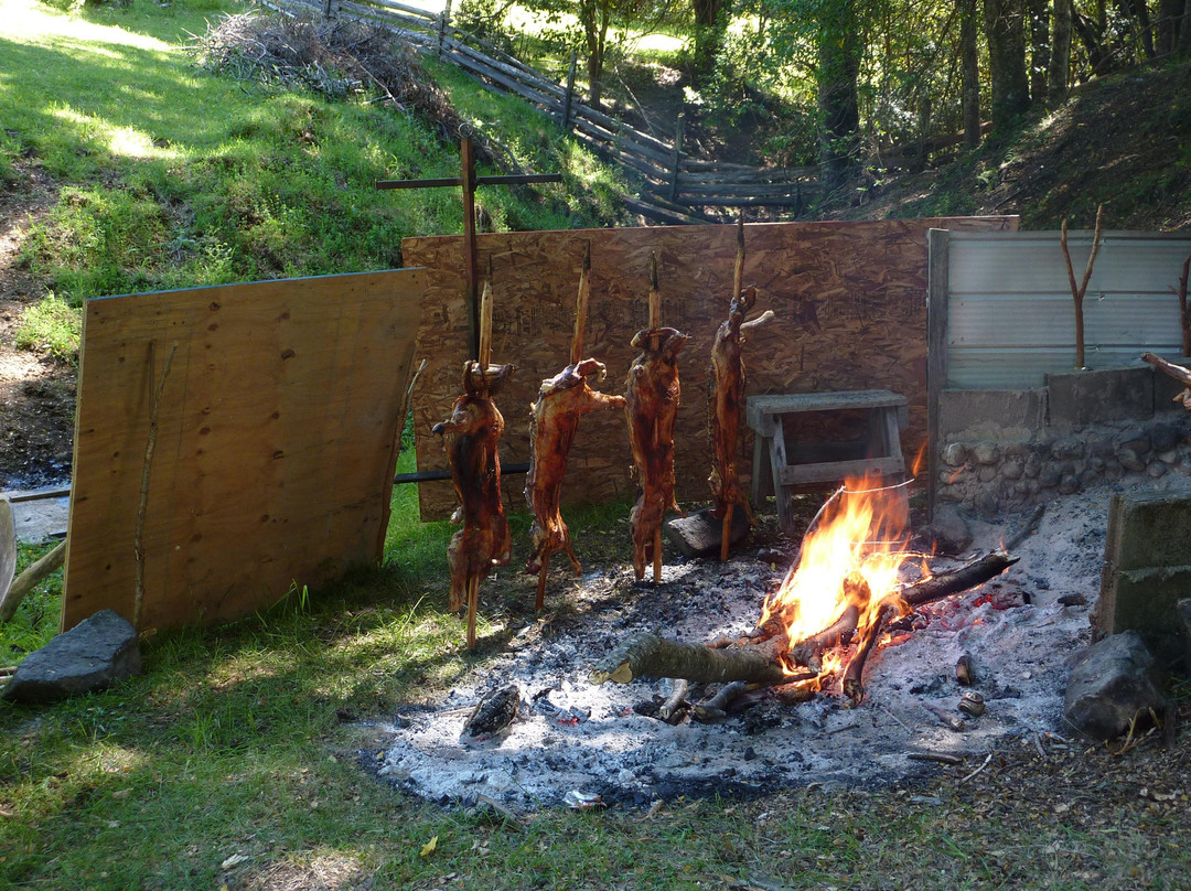 Llanada Grande Lodge-Puelo必去景点