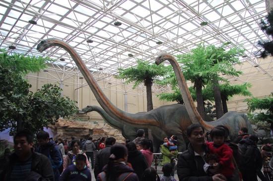 北京自然博物馆-北京市必去景点