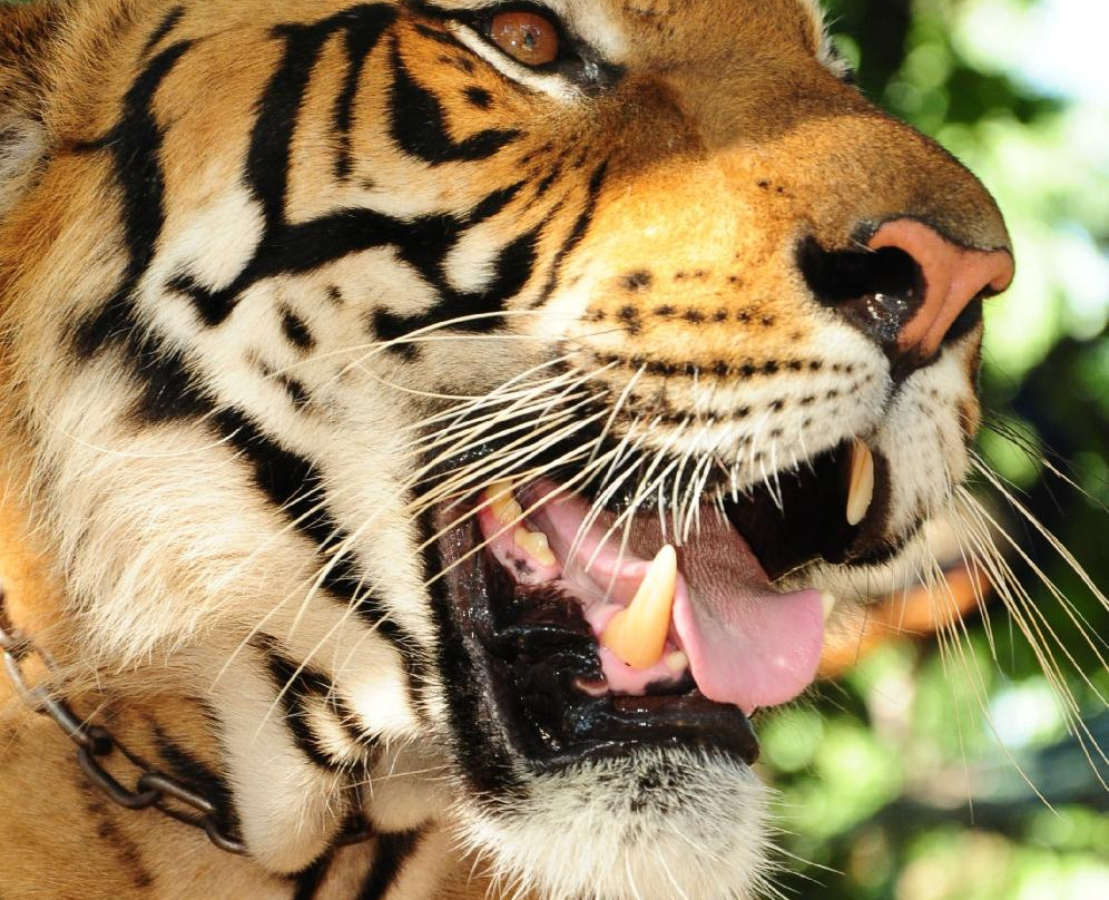 ZOO Lujan景点图片