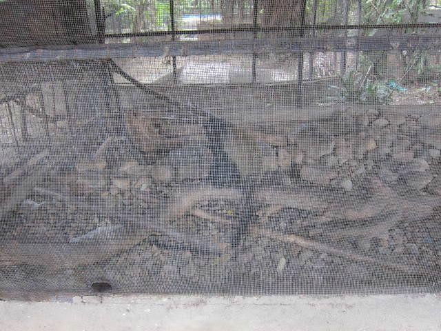 Reptile Park (Parc des Reptiles)-布松布拉必去景点