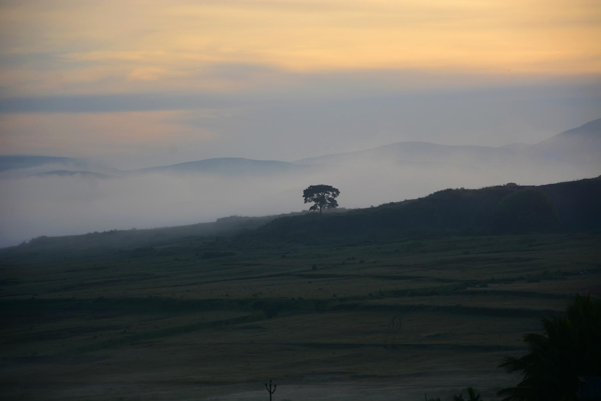 Hotel Lemon Castle-酒店景观