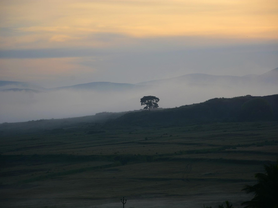 Hotel Lemon Castle主图