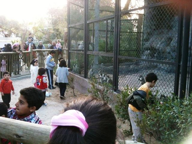 Kuwait Zoo-Kuwait City必去景点