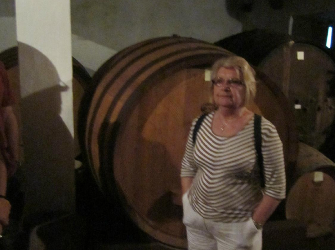 Milos Winery景点图片