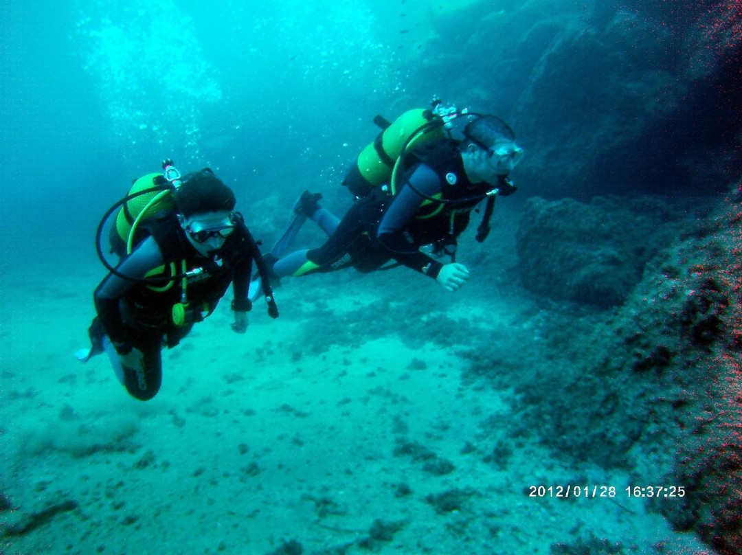 Evolution Divers-瓜尔达马尔德尔塞古拉必去景点