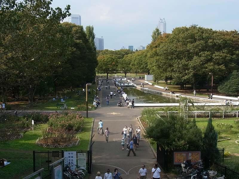 代代木公园-涩谷区必去景点
