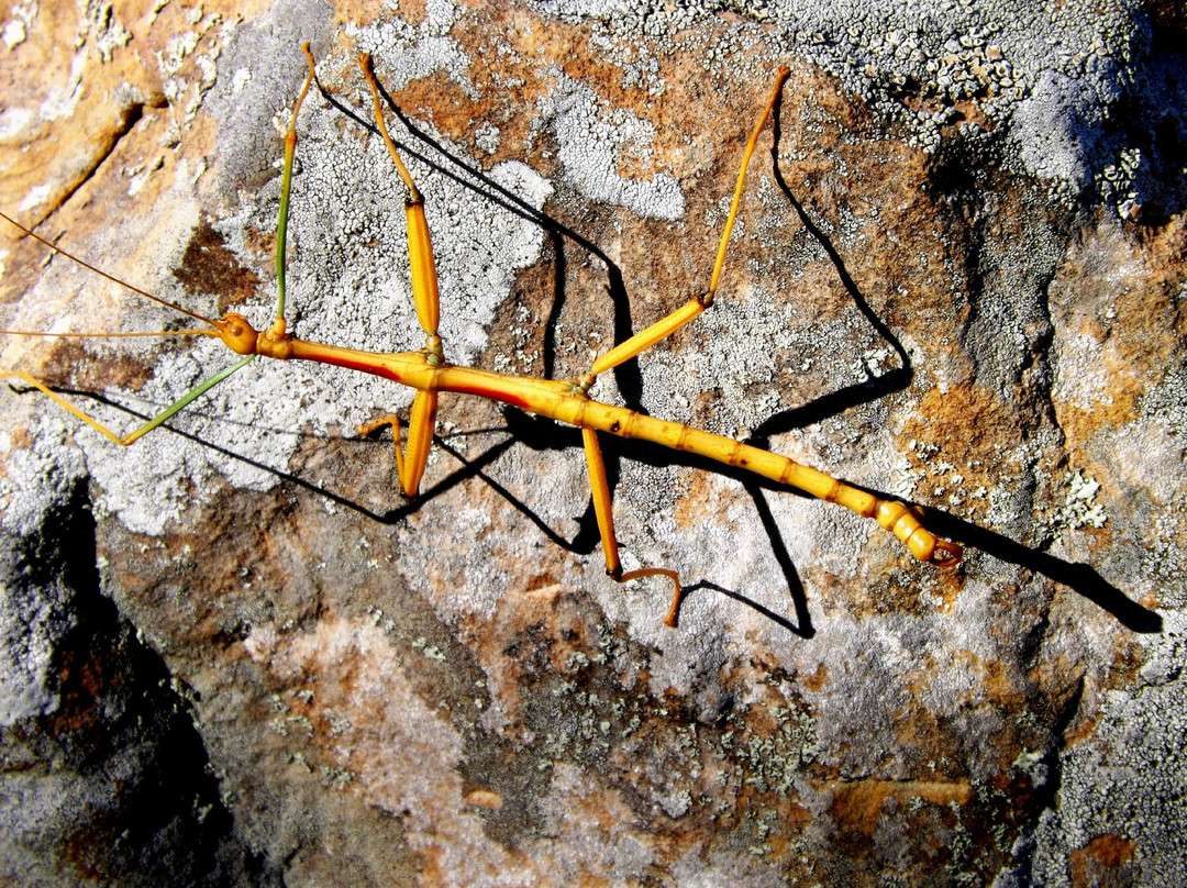 Arrowhead State Park-Canadian必去景点
