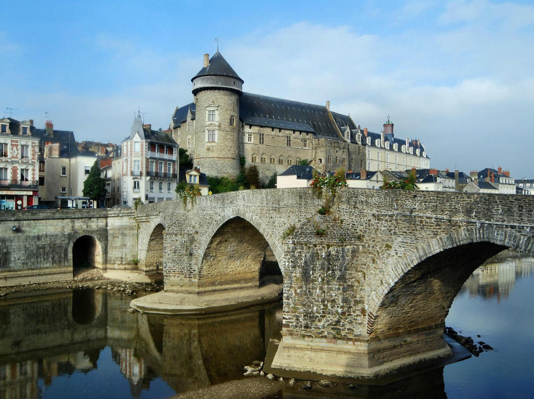 Chateau de Laval (Laval's Castle)景点图片