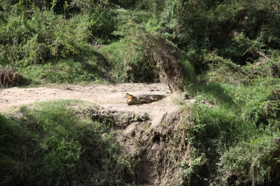 Integritour-基苏木必去景点