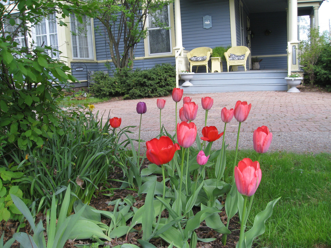 A Victorian Swan on Water Bed & Breakfast主图