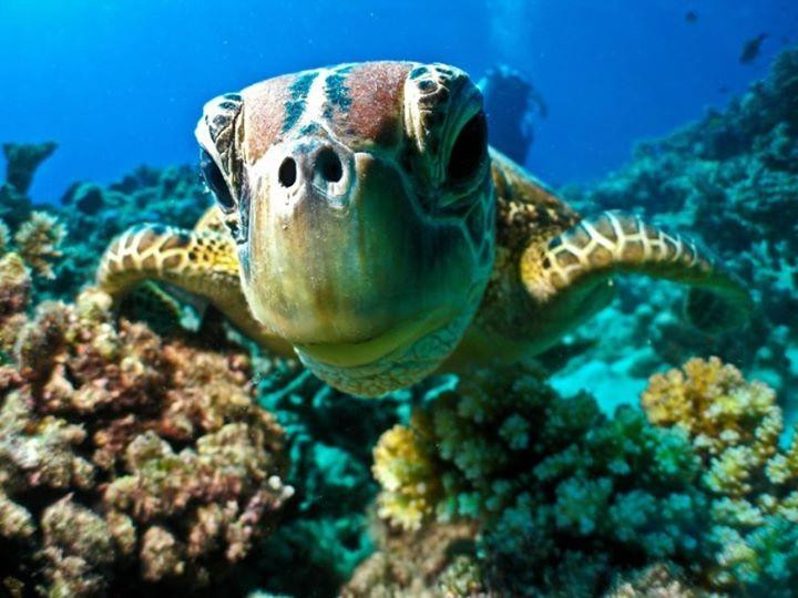 Keswick Underwater Adventures景点图片