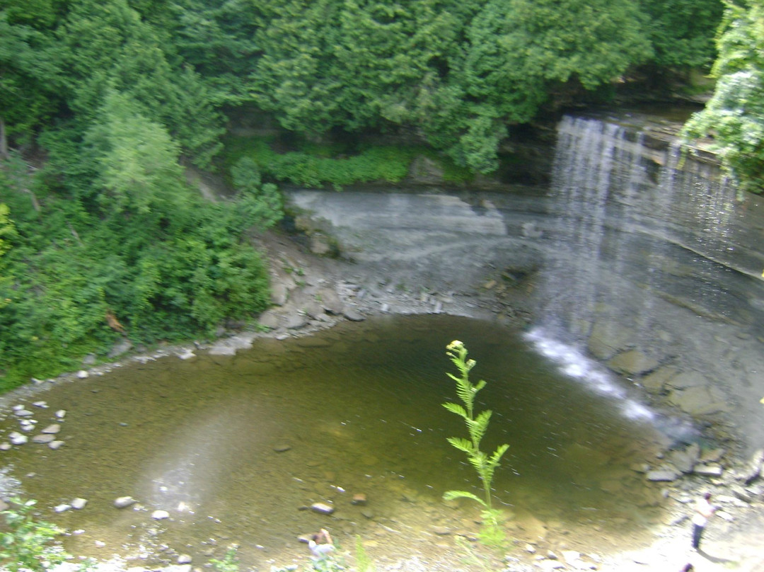 Bridal Veil Falls景点图片