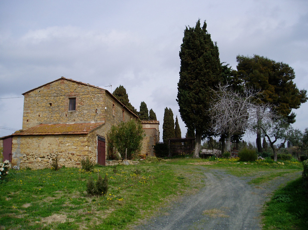 Il Poderaccio - Azienda Agricola Santo Stefano