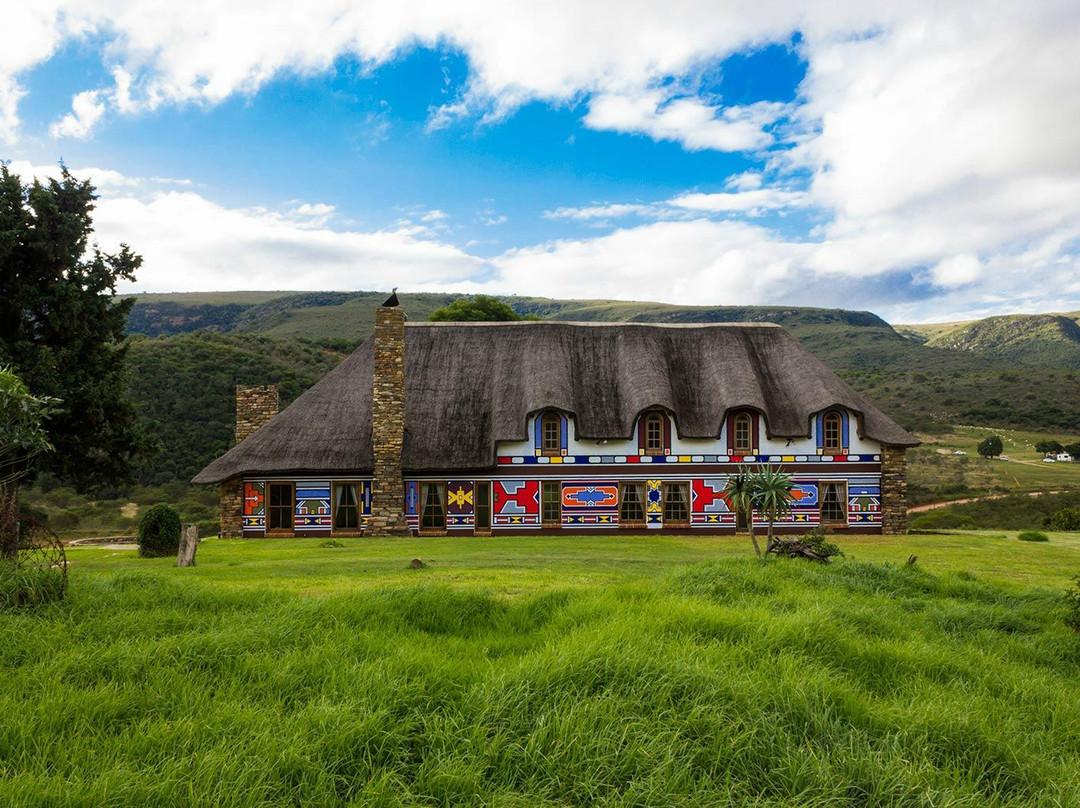Addo Bush Palace Private Reserve主图