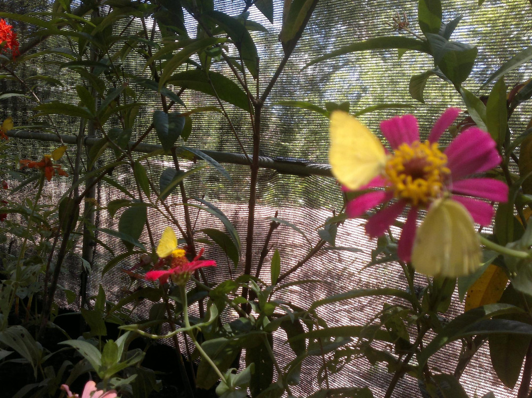 Hortus Botanicus-罗哈斯城必去景点