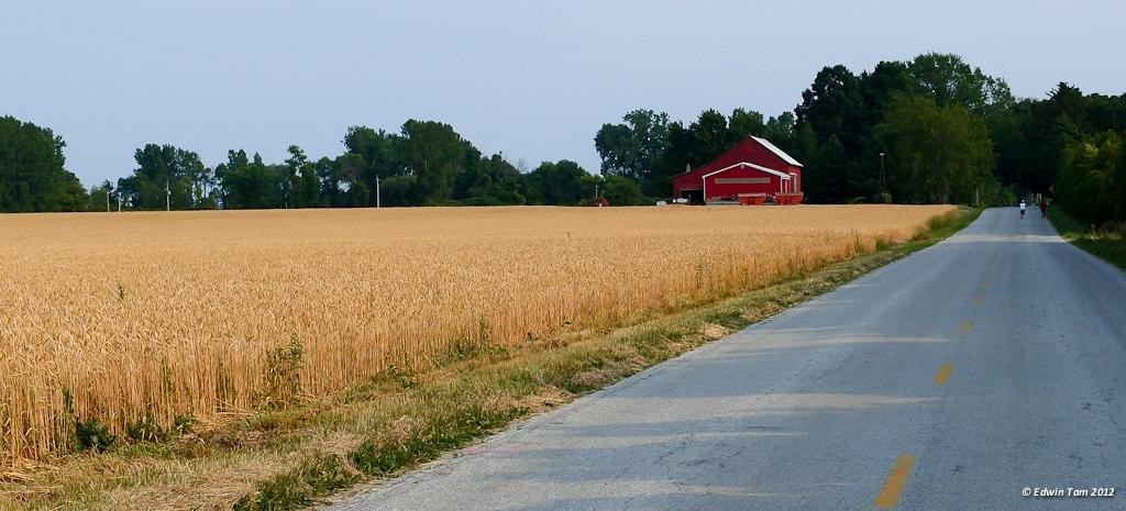 Farm Dog Cycles-Harrow必去景点