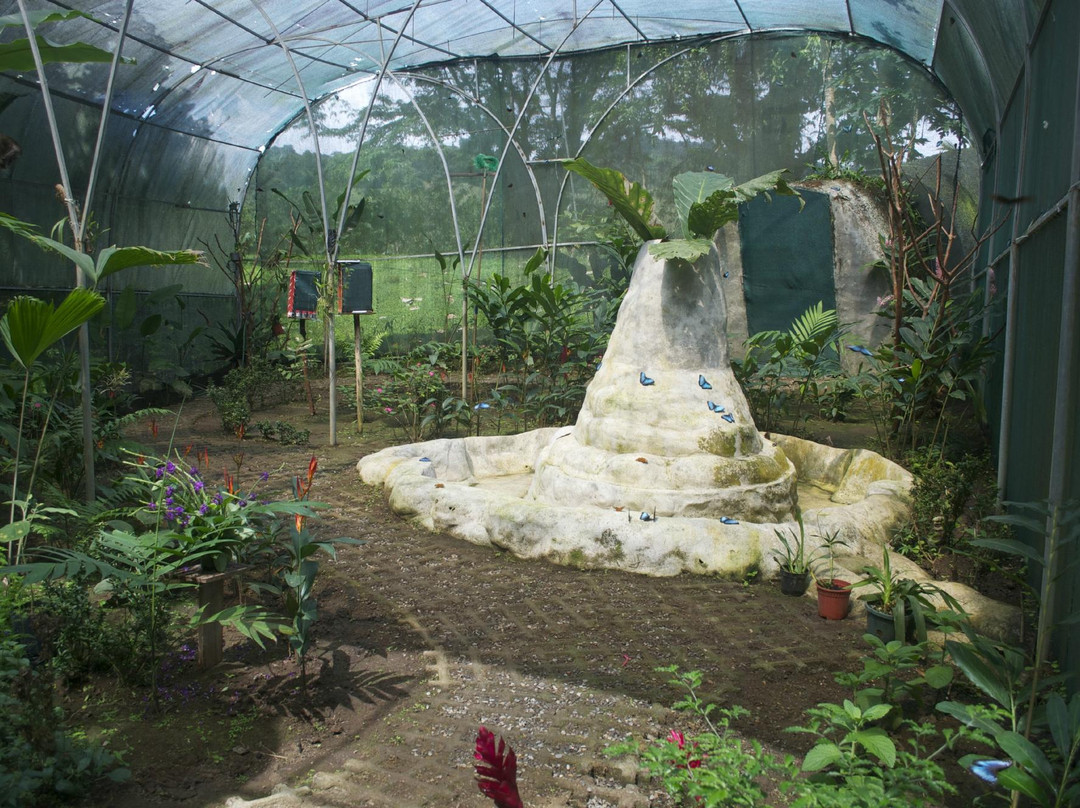 The Motmot Jungle-福德圣卡洛斯必去景点