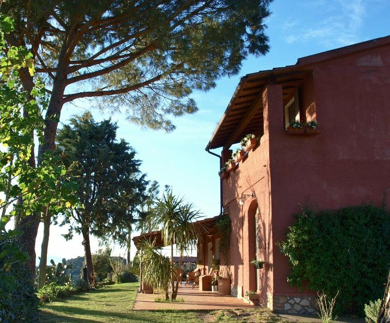 Podere Cavone - Casale Degli Ulivi主图