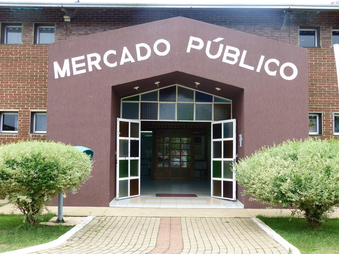 Mercado Publico Regional景点图片