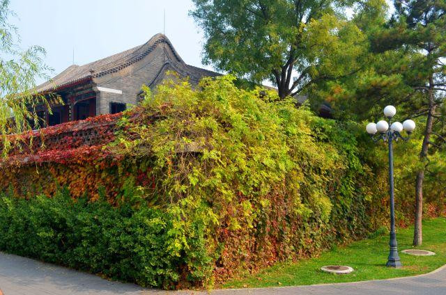 陶然亭公园-北京市必去景点